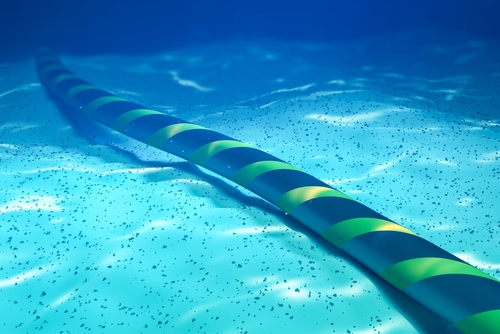 Subsea Infrastructure Protection